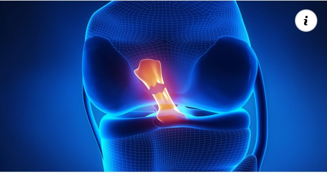 Physiotherapy clinic in Tambaram
Are you Looking f... main image
