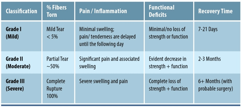 Physiotherapy clinic in Tambaram
Are you Looking f... main image