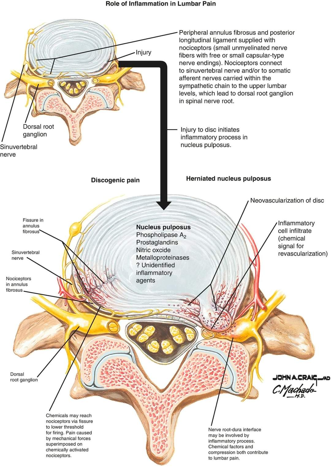 Physiotherapy clinic in Tambaram
Are you Looking f... main image