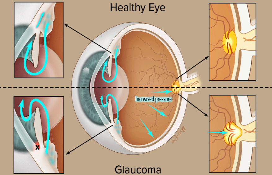 Green City Maternity and Eye Hospital: Leading ... main image