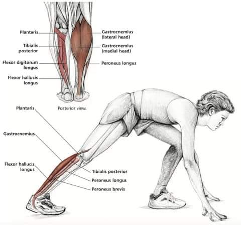 Physiotherapy clinic in Tambaram
Are you Lookin... main image