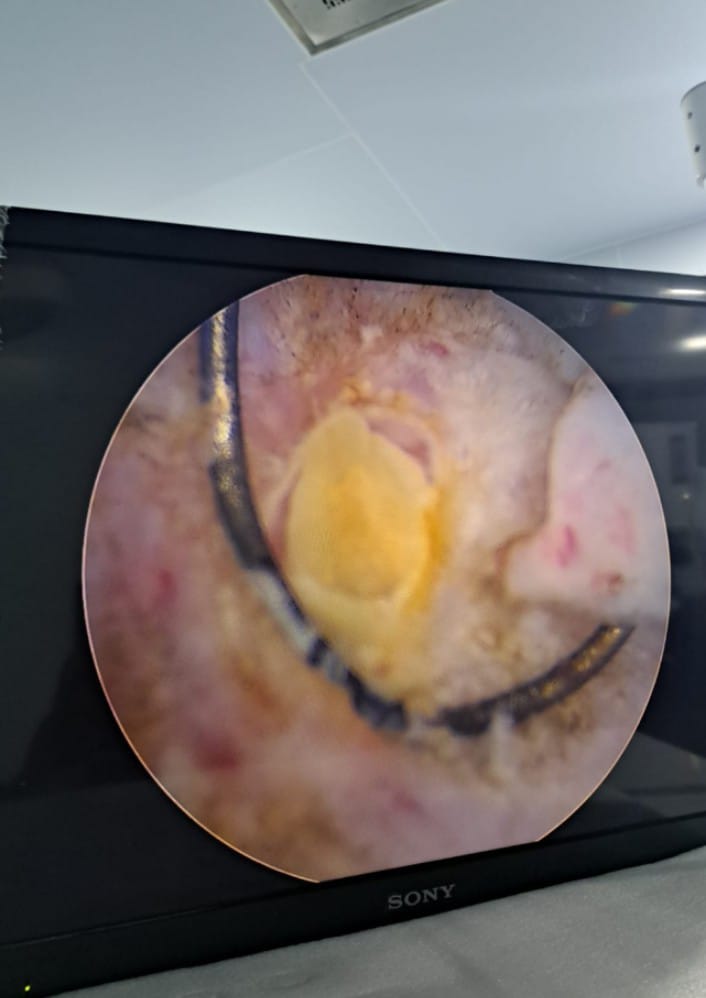 # Integrity super speciality hospital
# renal ston... main image