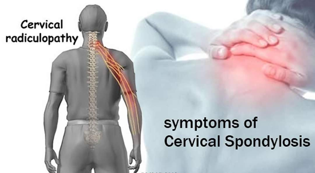 Physiotherapy clinic in Tambaram
Are you Looking f... main image