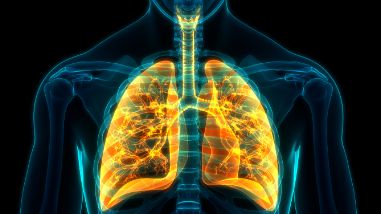 Looking for world-class healthcare services in ... main image