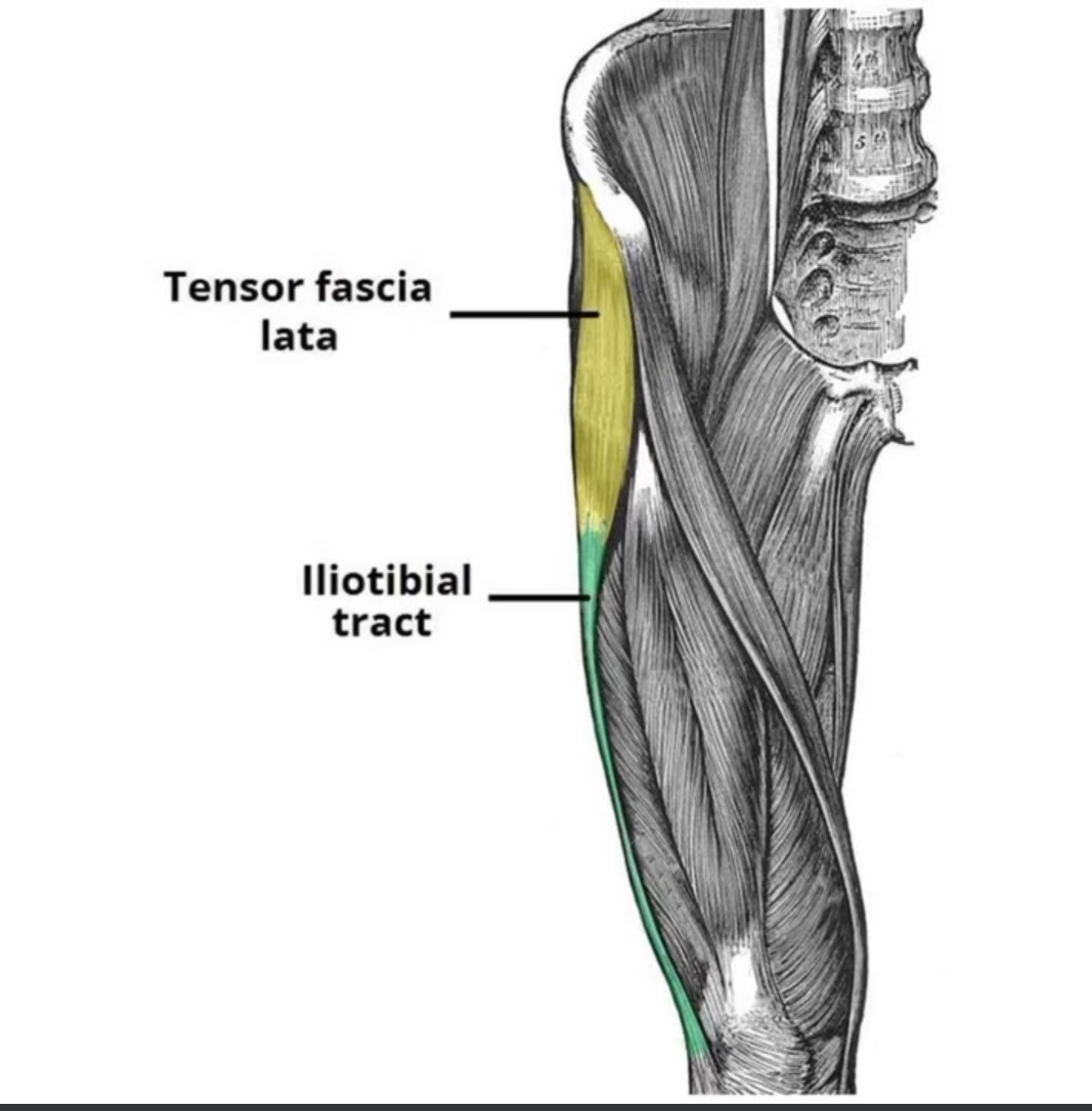 Physiotherapy clinic in Tambaram
Are you Looking f... main image