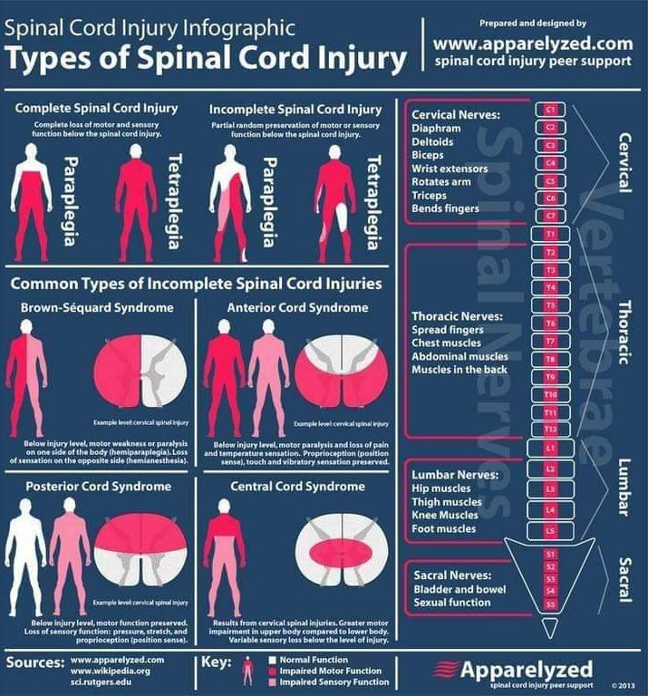 Physiotherapy clinic in Tambaram
Are you Looking f... main image