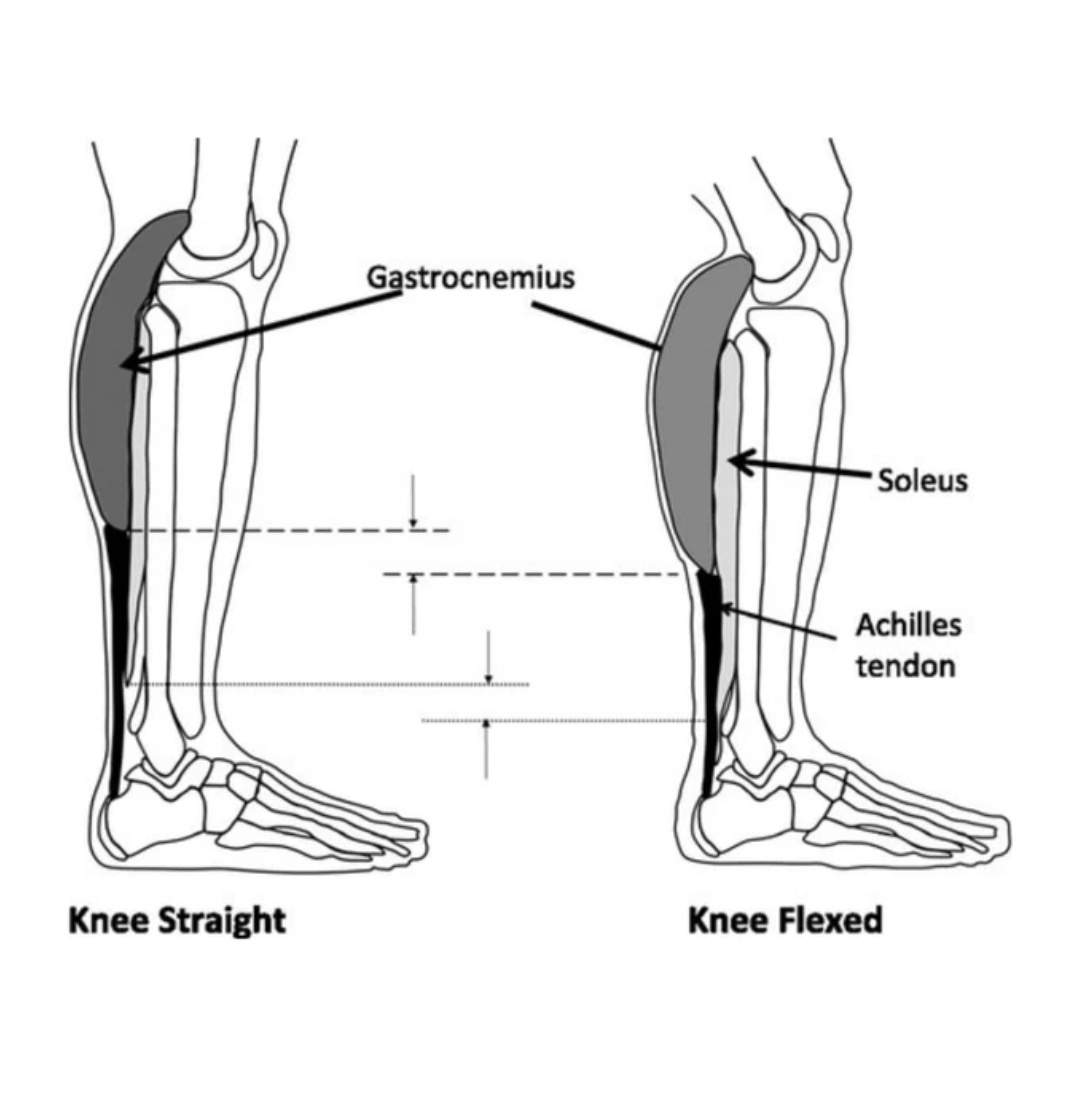 Physiotherapy clinic in Tambaram
Are you Looking f... main image
