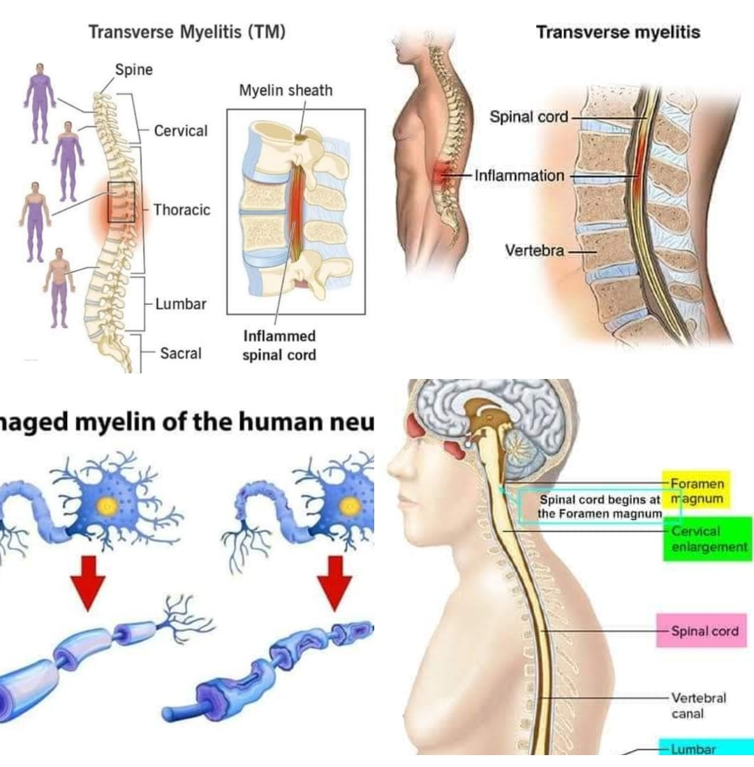 Physiotherapy clinic in Tambaram
Are you Looking f... main image