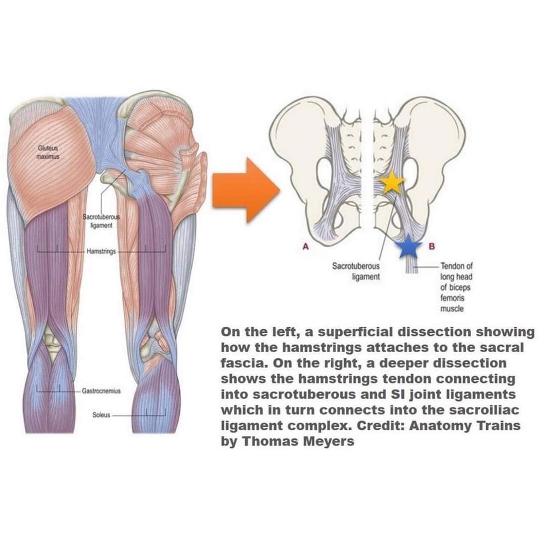 Physiotherapy clinic in Tambaram
Are you Looking f... main image