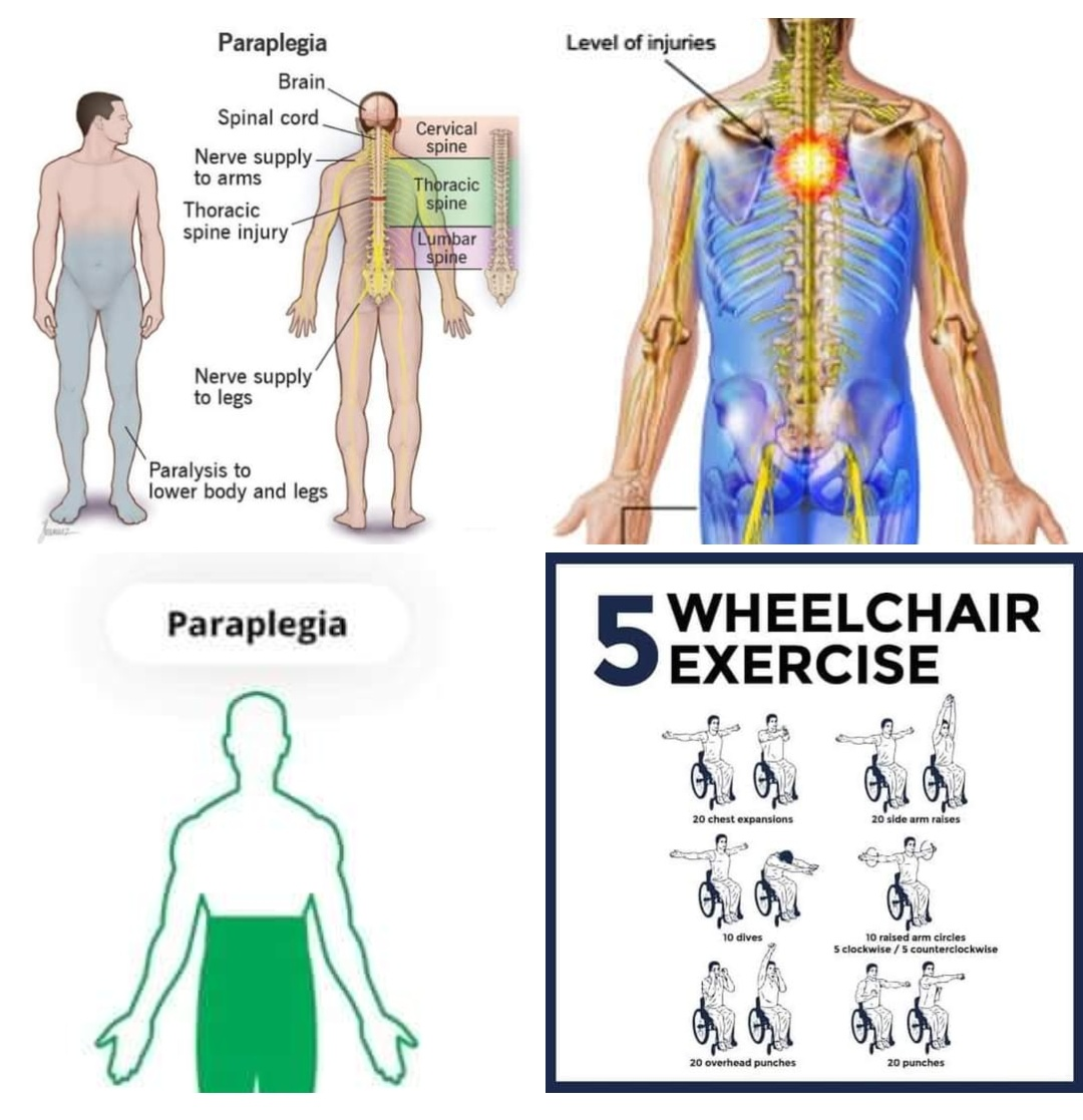 Physiotherapy clinic in Tambaram
Are you Looking f... main image