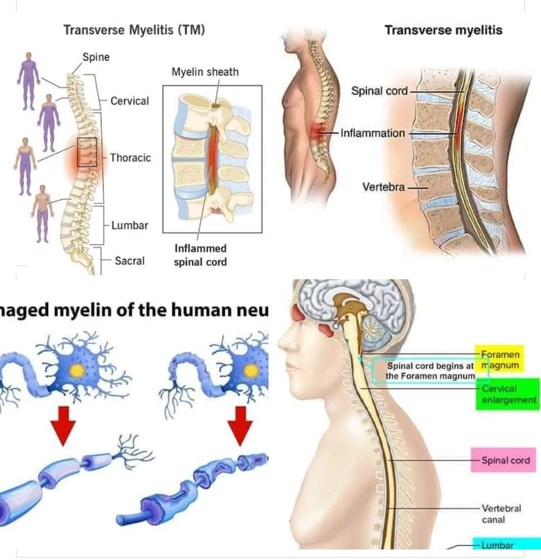 Physiotherapy clinic in Tambaram
Are you Looking f... main image