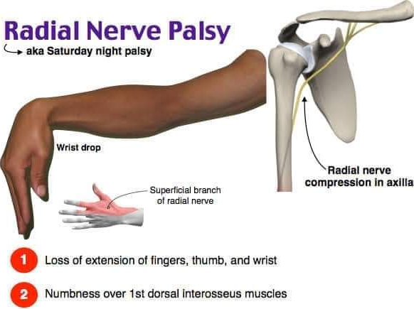 Physiotherapy clinic in Tambaram
Are you Lookin... main image