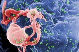 Personalized HIV Treatment in Hyderabad | Trust... main image