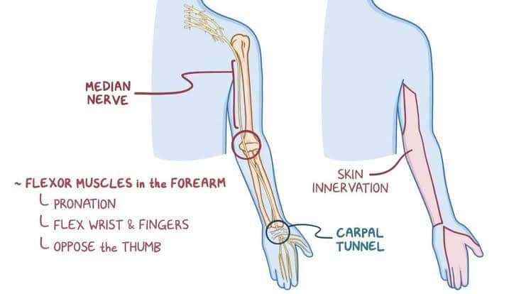 Physiotherapy clinic in Tambaram
Are you Looking f... main image