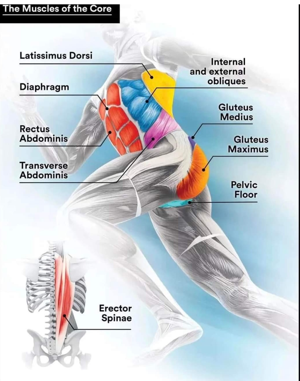 Physiotherapy clinic in Tambaram
Are you Looking f... main image