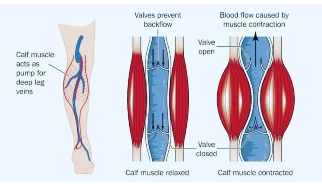 Physiotherapy clinic in Tambaram
Are you Looking f... main image