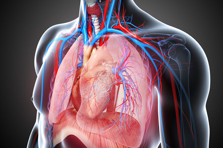 Trusted Neonatal and Infant Cardiac Surgery at ... main image