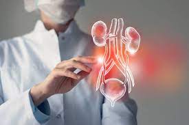 Excellence in Uro Surgery: Kothrud Hospital, PuneC... main image