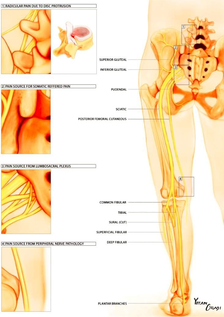 Physiotherapy clinic in Tambaram
Are you Looking f... main image