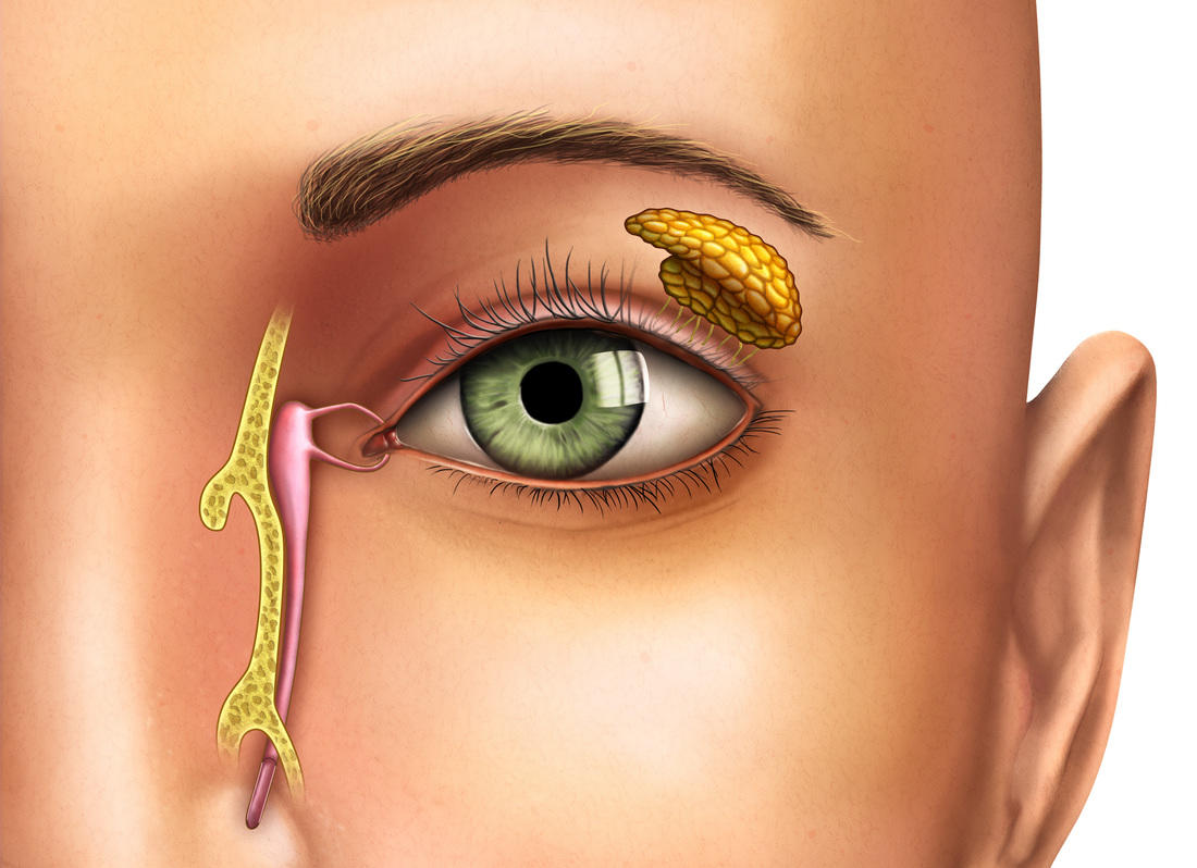 Are you Finding Endoscopic DCR Clinic in Pimple Sa... main image