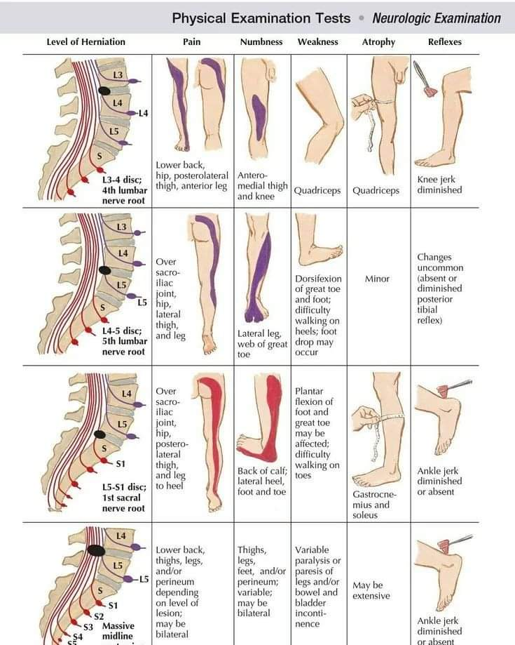 Sunshine Super Speciality Physiotherapy Clinic  main image