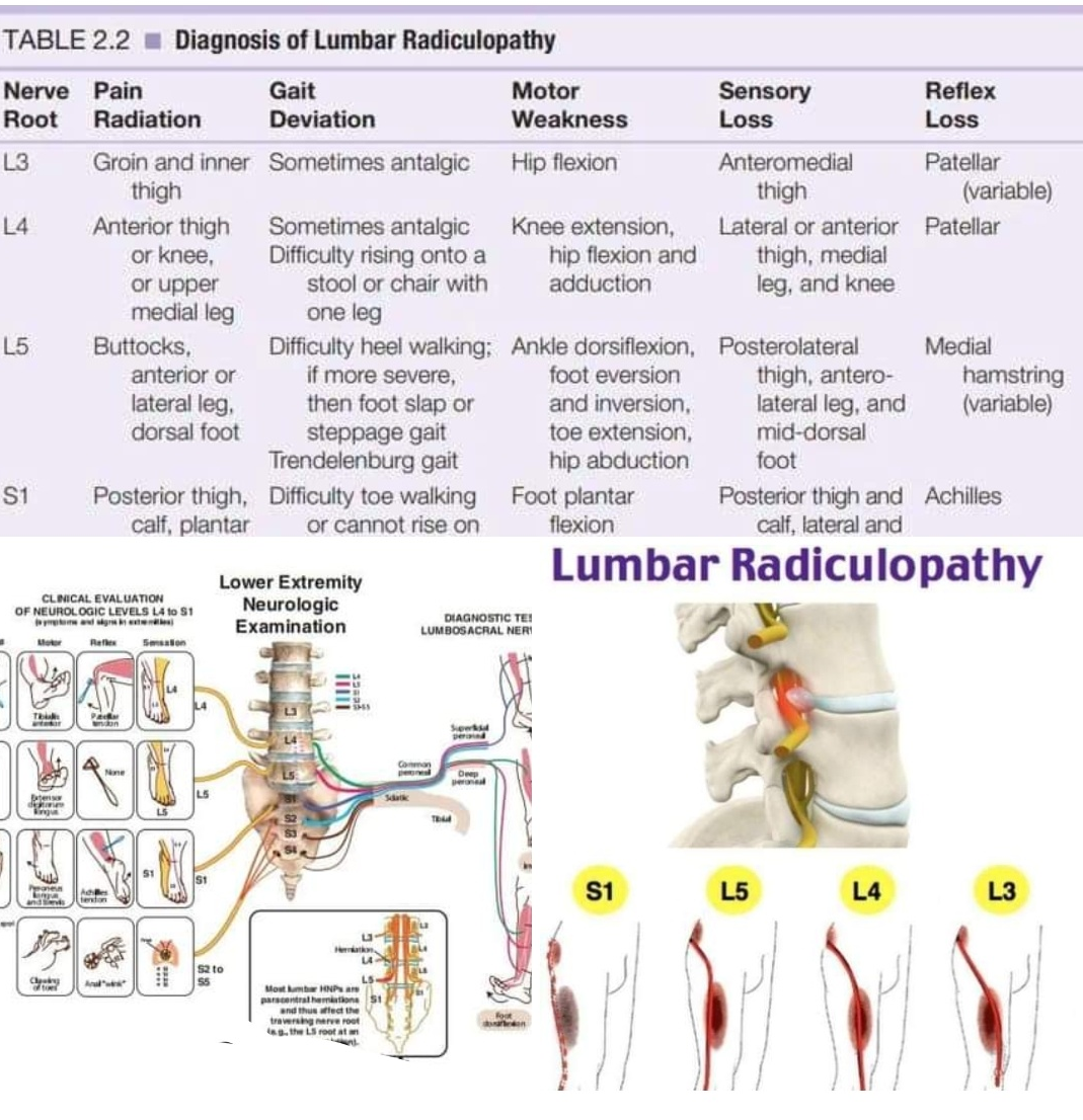 Physiotherapy clinic in Tambaram
Are you Looking f... main image