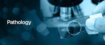 Ojass Multispeciality Hospital Where Excellence... main image