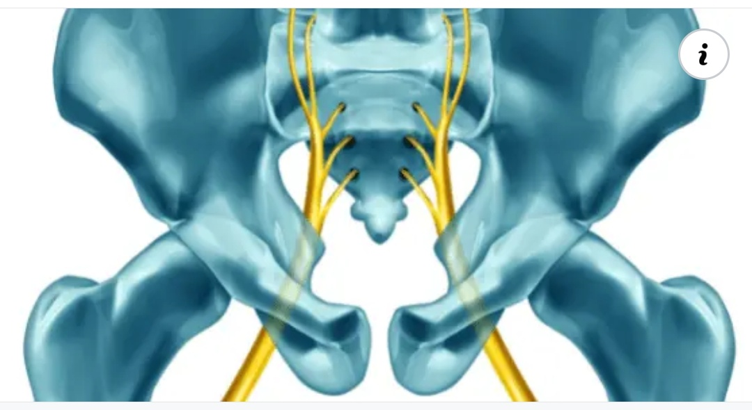 Physiotherapy clinic in Tambaram
Are you Looking f... main image