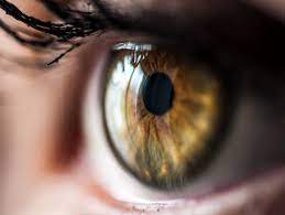 Vision Plus Clinic - Defeating Hypertensive Ret... main image