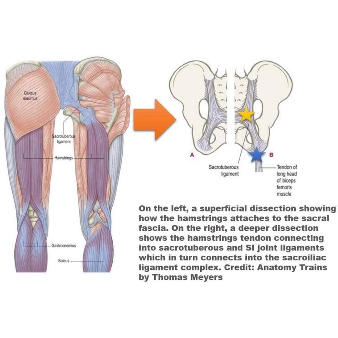 Physiotherapy clinic in Tambaram
Are you Looking f... main image