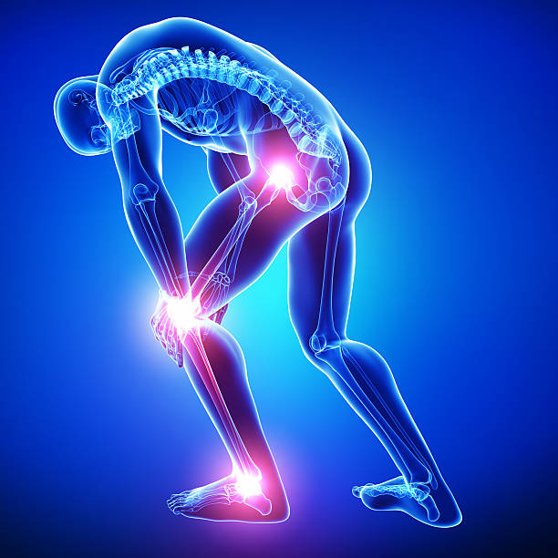 Empowering Movement: Your Trusted Orthopedic Pa... main image