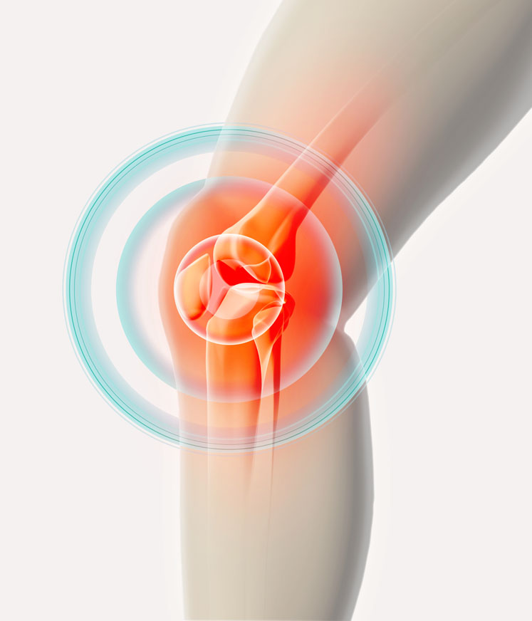 Crafting Stronger Joints: Welton Hospital's Ort... main image