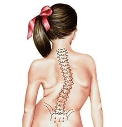 Physiotherapy clinic in Tambaram
Are you Lookin... main image