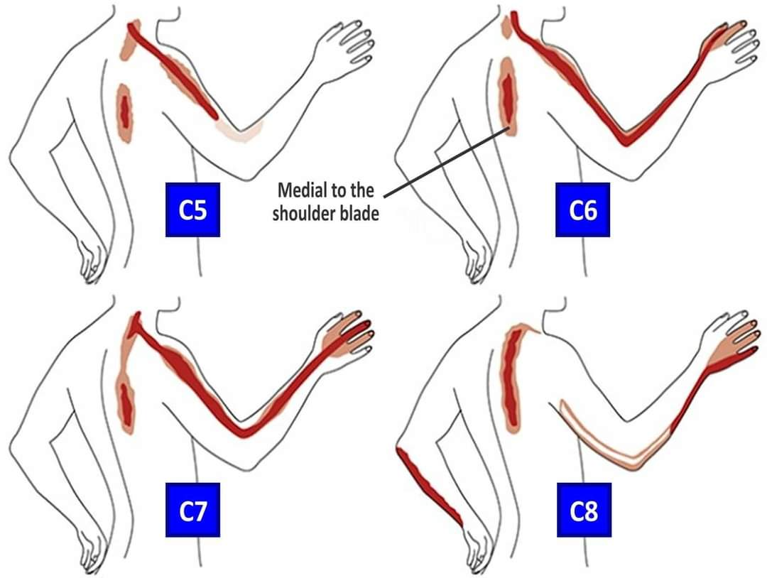 Physiotherapy clinic in Tambaram
Are you Looking f... main image