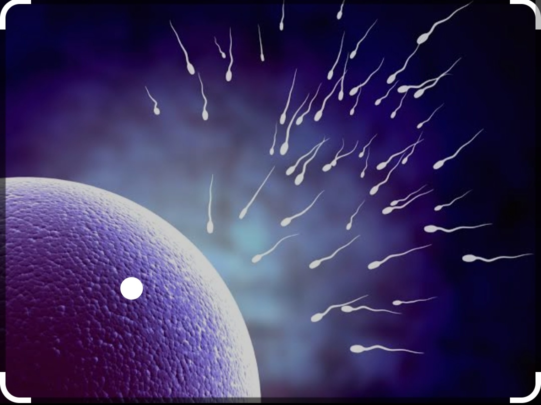 Infertility can be due to many factors.
Both pa... main image