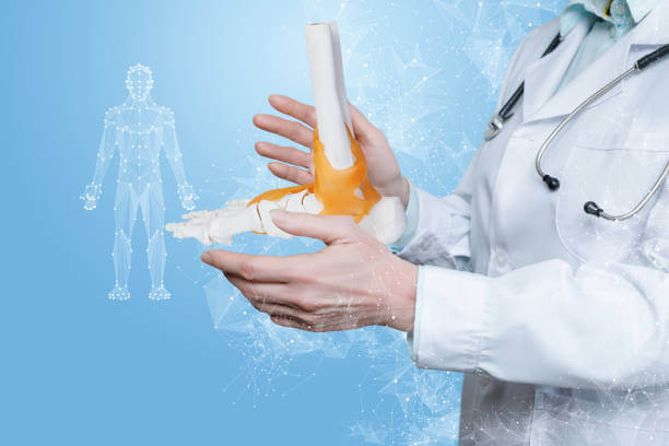 Joint Health and Beyond: Ortho Relief Hospital ... main image