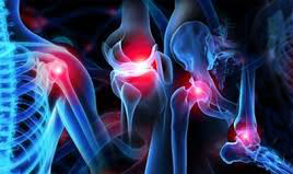 Your Path to Orthopedic Excellence with Ortho R... main image