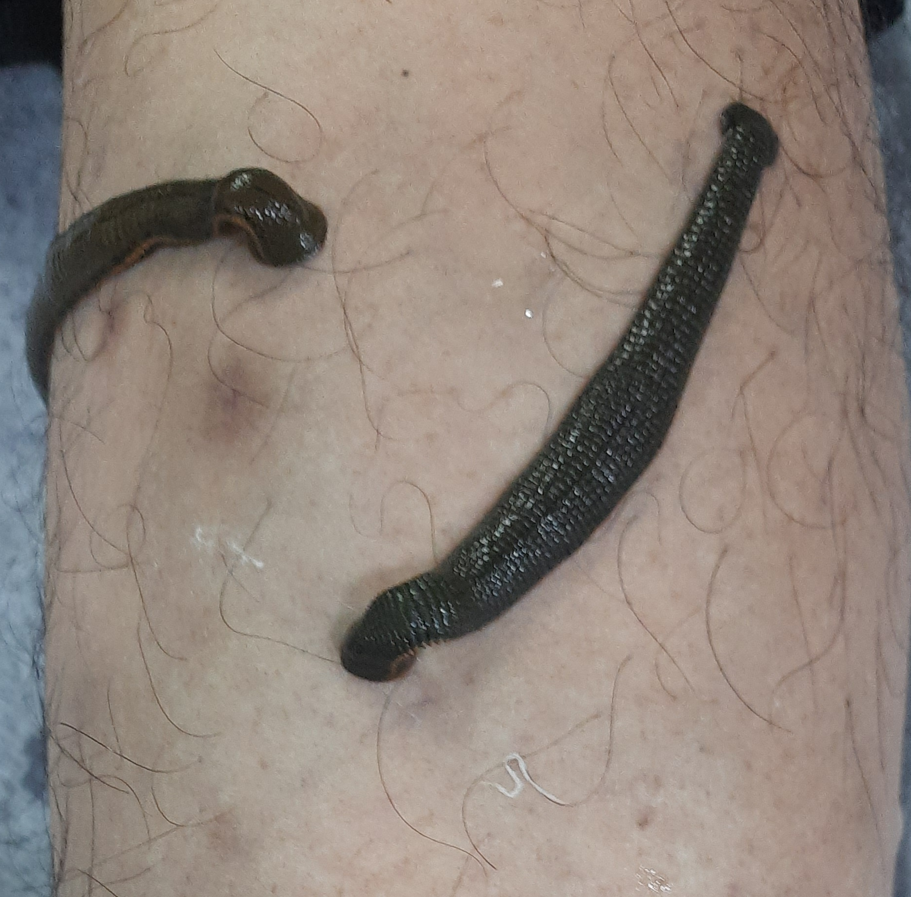update image