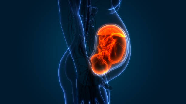 Women's Health Matters: Gynecology Insights For... main image