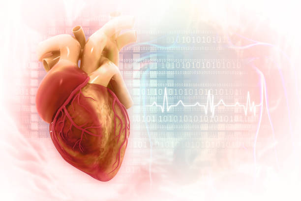 Comprehensive Cardiac Care at Medinova Super Speci... main image