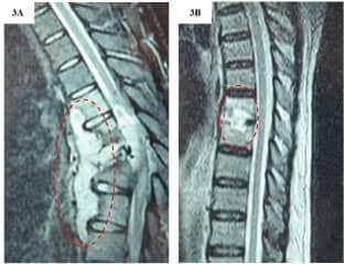 Physiotherapy clinic in Tambaram
Are you Looking f... main image