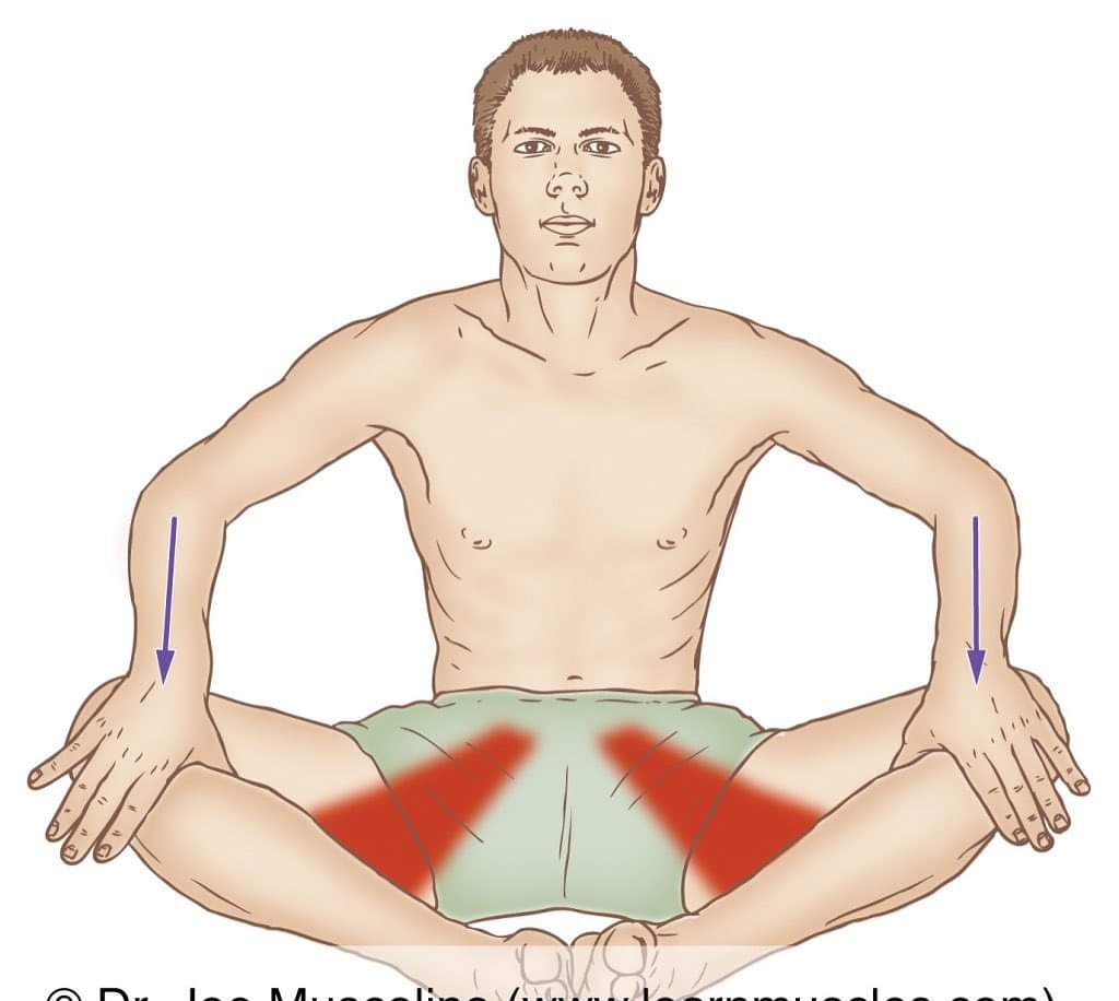Physiotherapy clinic in Tambaram
Are you Looking f... main image