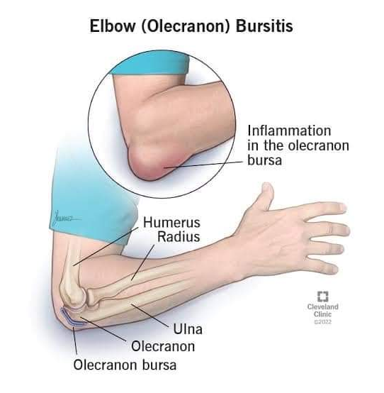 Physiotherapy clinic in Tambaram
Are you Looking f... main image