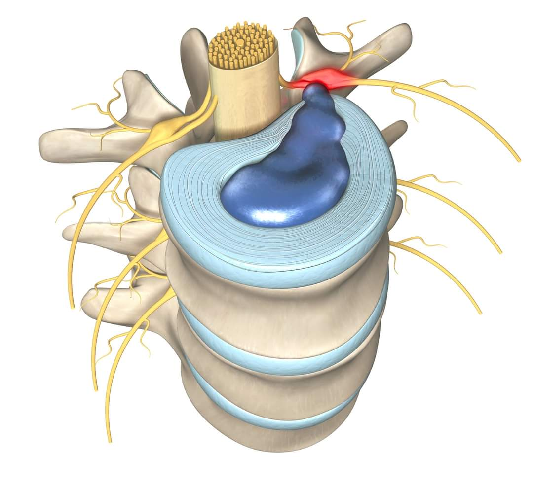 Physiotherapy clinic in Tambaram
Are you Looking f... main image