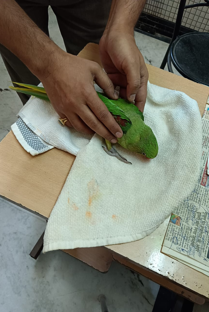 update image