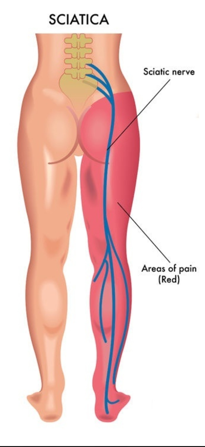 Physiotherapy clinic in Tambaram
Are you Looking f... main image