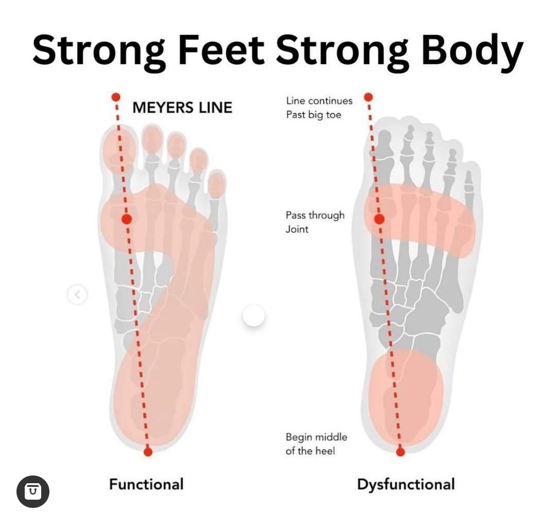 Physiotherapy clinic in Tambaram
Are you Looking f... main image