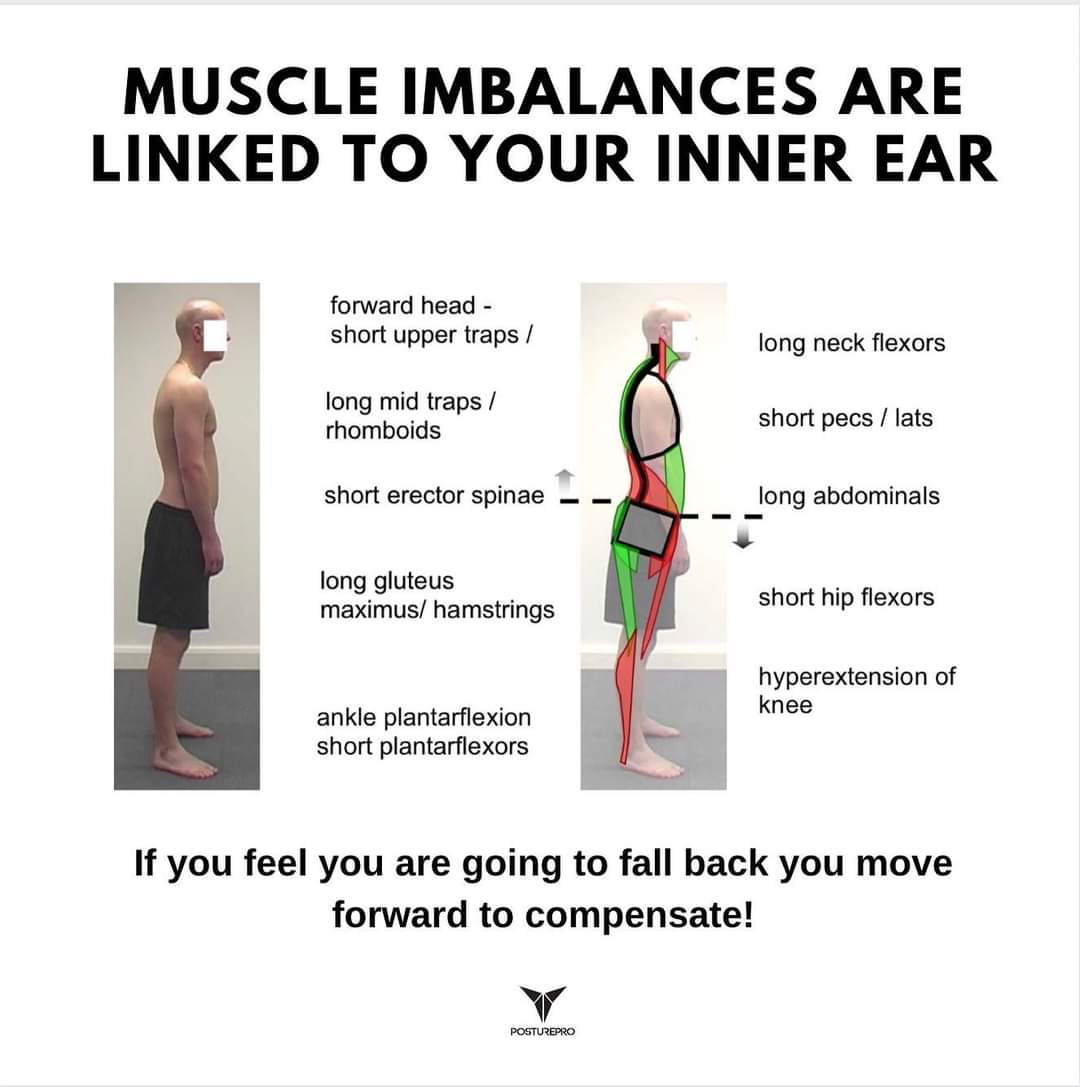 Physiotherapy clinic in Tambaram
Are you Looking f... main image