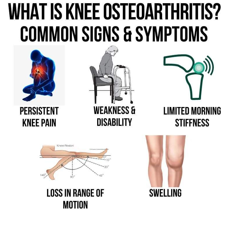 Physiotherapy clinic in Tambaram
Are you Looking f... main image