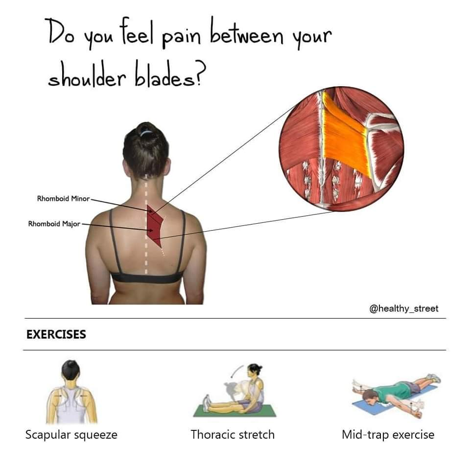 Physiotherapy clinic in Tambaram
Are you Looking f... main image